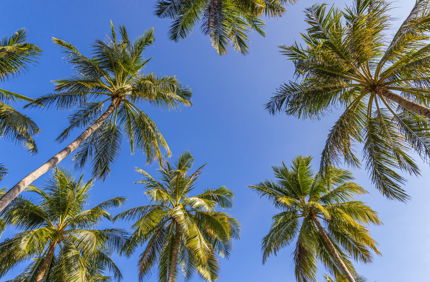 Adobestock 495473313 (1)