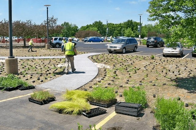 Stormwater Management
