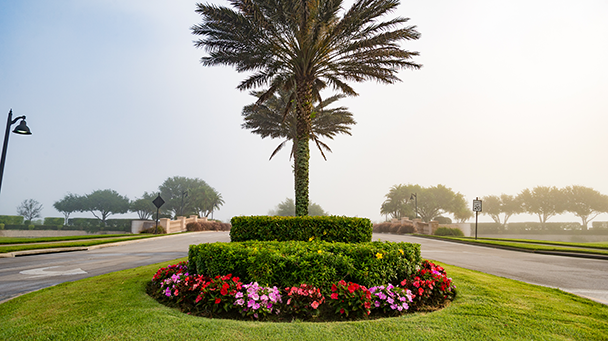 Ave Maria Sideimage3 608X341