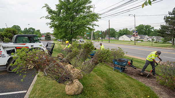 Commercial Blog Right Tree Right Place Sideimage3 608X341