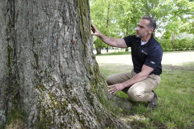 A man crouched down and inspecting a tree trunk.