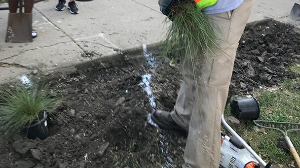 Project Profile Rain Garden Installation Sideimage2 608X341