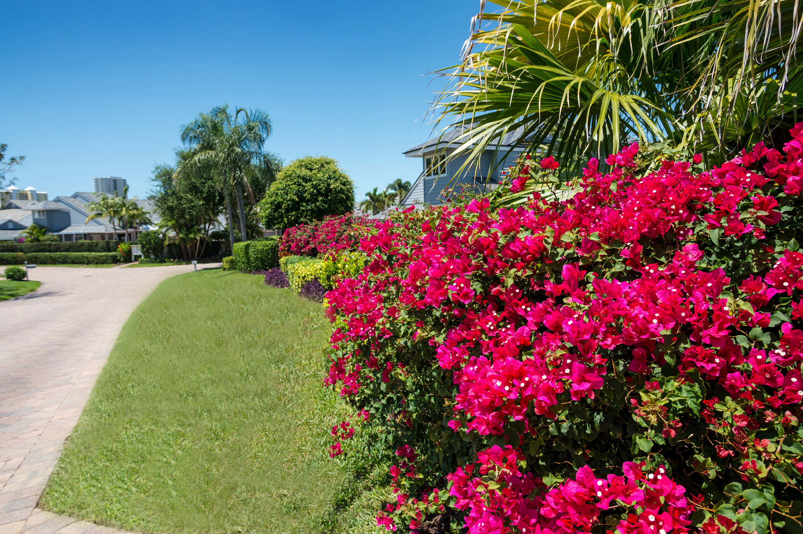 Landscape Enhancements