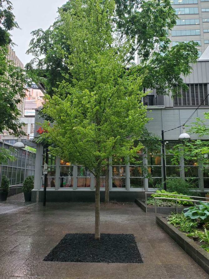 3Df97d93 30Bf 49D3 85Bf A7c3bc5a629f