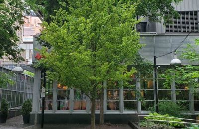 3Df97d93 30Bf 49D3 85Bf A7c3bc5a629f