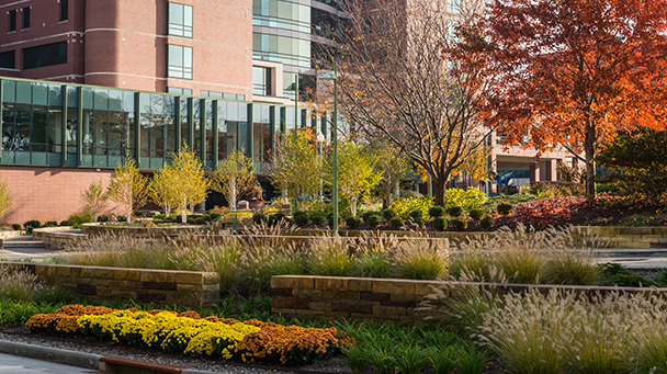 Akronchildrenshosp Sideimage2 608X341