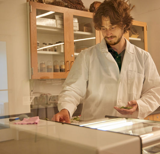 DI 0079 1200X800 5B2df79