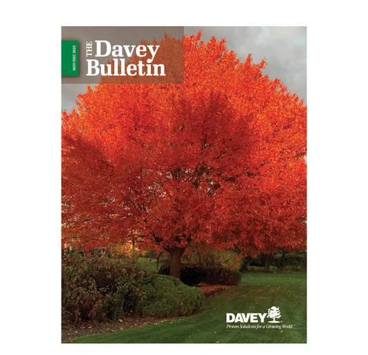 496B67e7 480F 4890 Ad03 E37fe776d180 0