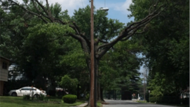 San Diego Sideimage608x341