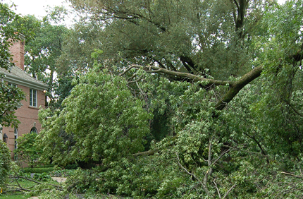 Storm Damage 2Banner 1440X500