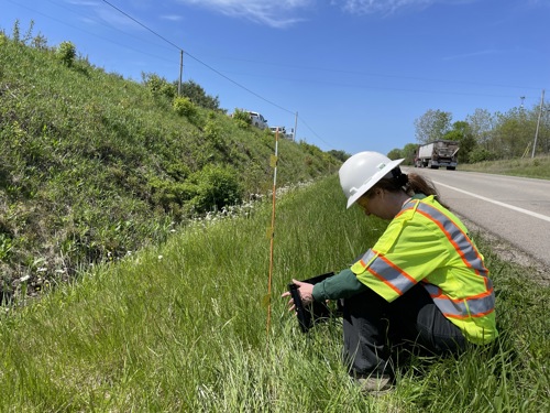 Davey Employee Collecting Data From Water Sensitive Paper on the Roadside