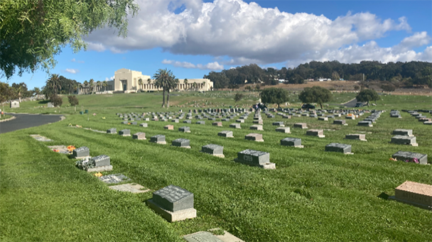 St Joseph Sideimage2 608X341