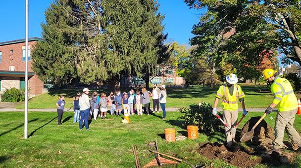 Project Profile Tree Planting Shrewsbury Ma Sideimage 608X341