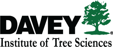 Dits Logo