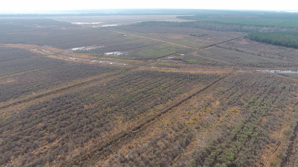 Rutman Project Profile Sideimage 608X341