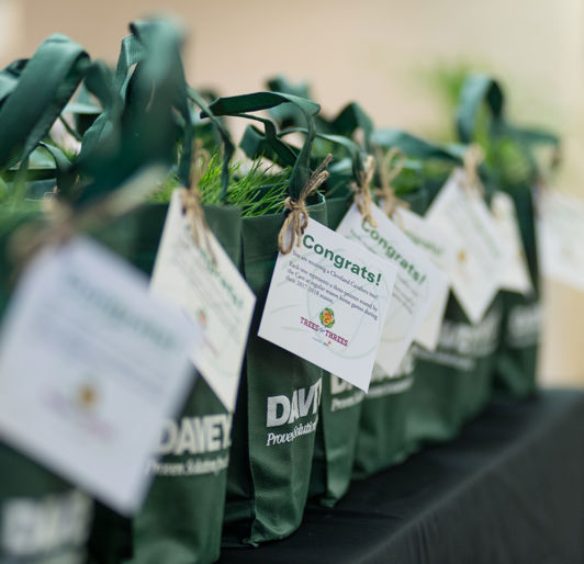 Tree Donations