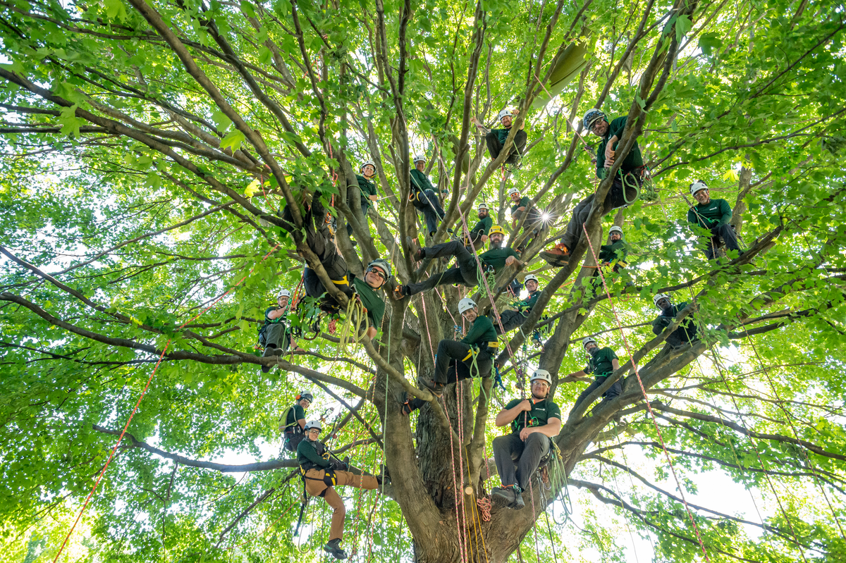 DSC 9978 1201X799 Ea268ed