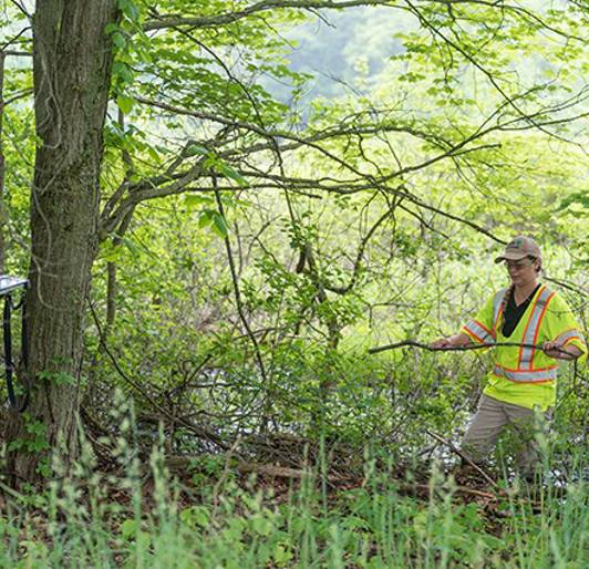 Natural Areas Management (1)