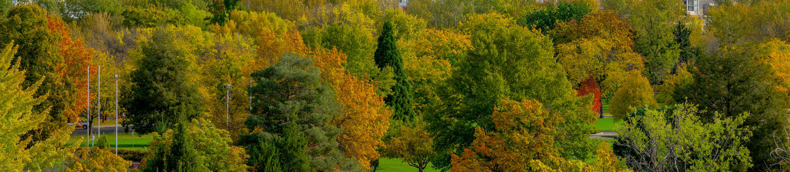 Tree Inventory Software for Urban Forestry | TreeKeeper® | Davey Tree