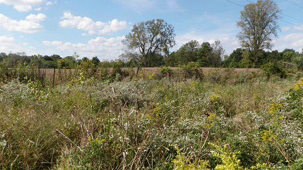 Vectren Sideimage608x341