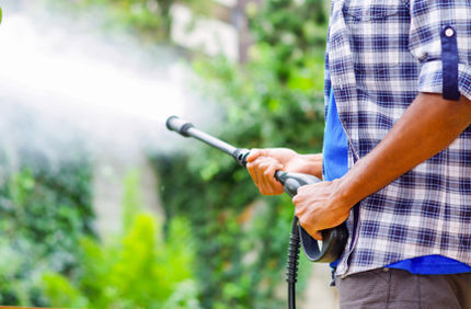 Pressure Washer On Tree Davey Tree