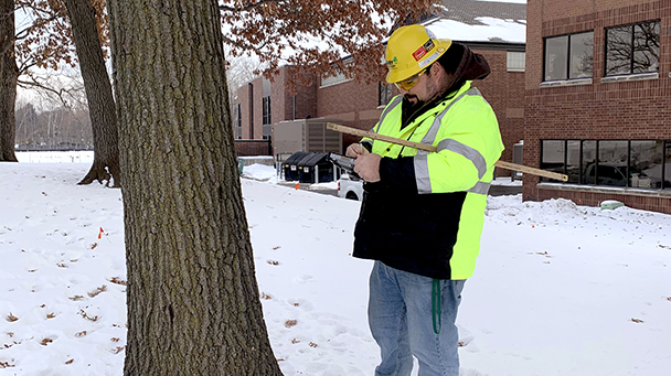 Environmental Pp Street And Park Tree Inventory Sideimage 608X341
