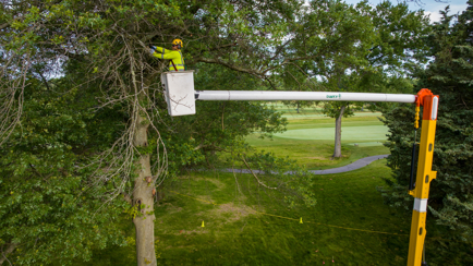 A man in a bucket truck trimming a tree