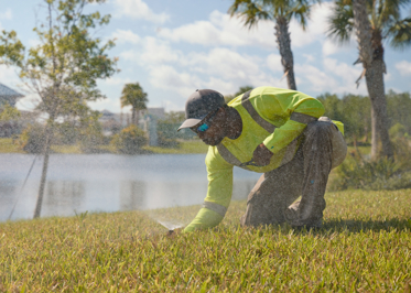 A worker crouched down to inspect grass on a watered lawn.