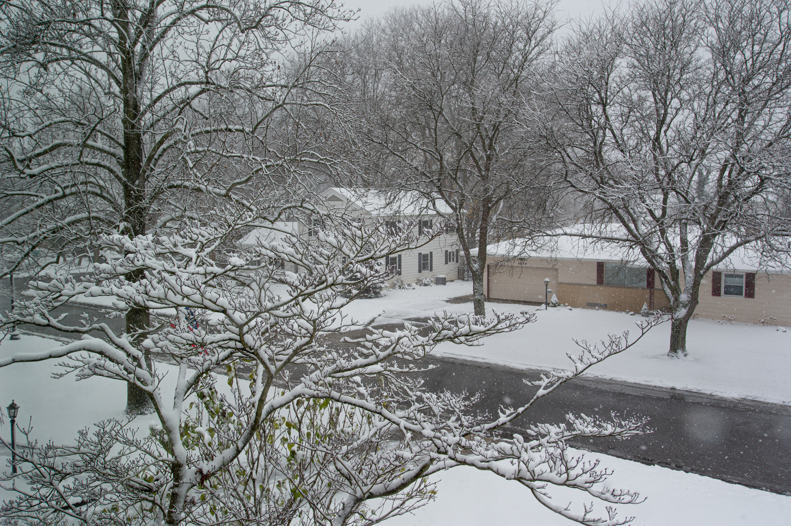 DSC 1173 4928X3280 E35ca0b