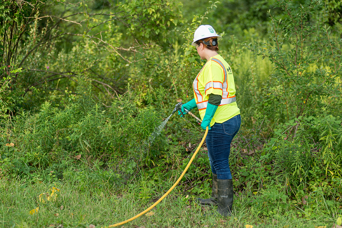 DRG Uses Herbicide To Control Vegetation For Knoxville Utilities Board