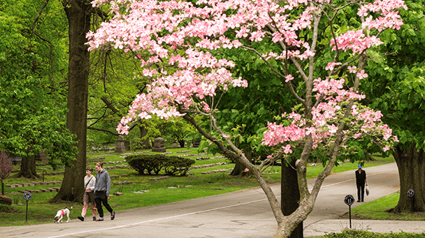 Commercial Case Study Lakeview Oh Sideimage4 608X341