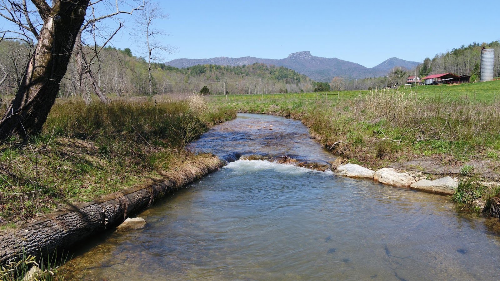 Ecological Restoration and Environmental Consulting Services Davey Tree