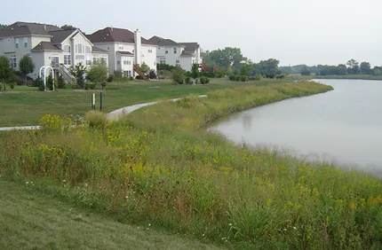 Pond