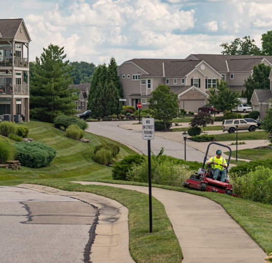 Landscaping San Marcos