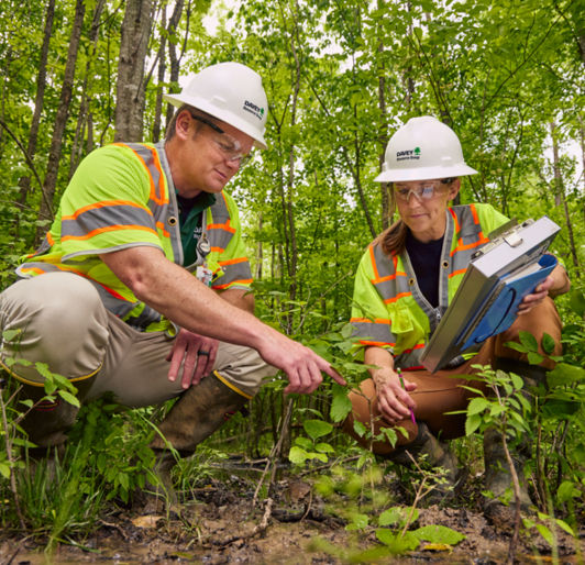Environmental Planning & Permitting Services