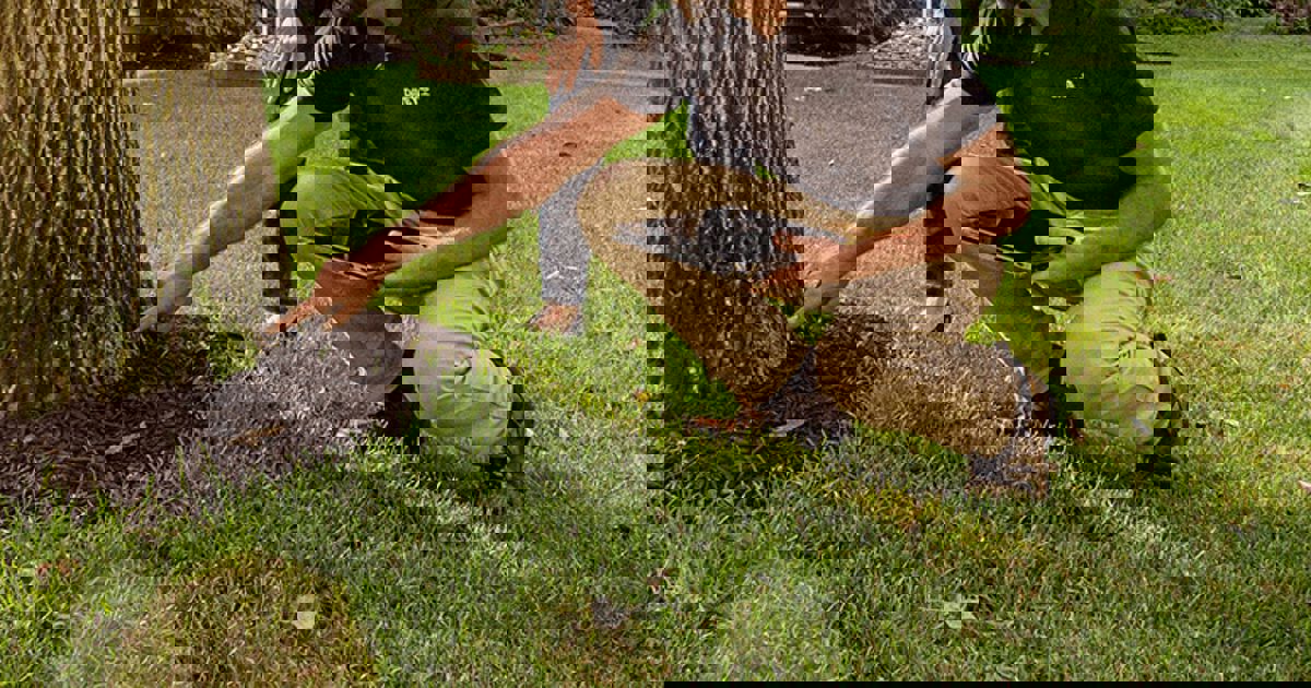 Safety Data Sheets | Davey Tree