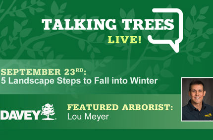 talking trees