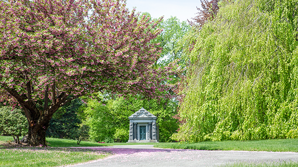 225 Woodlawn Sideimage4 608X341