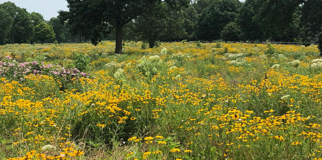 Project Profiles Ft Sheridan Banner 1440X500