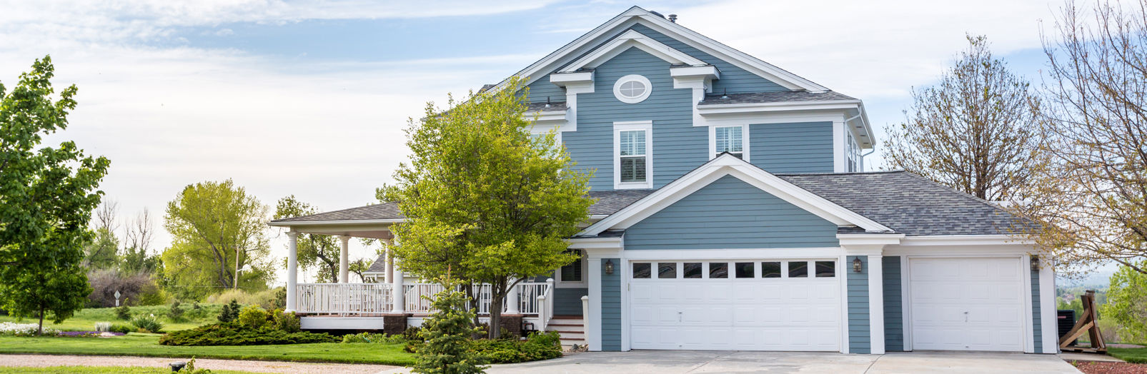 Tree Services Near Denver