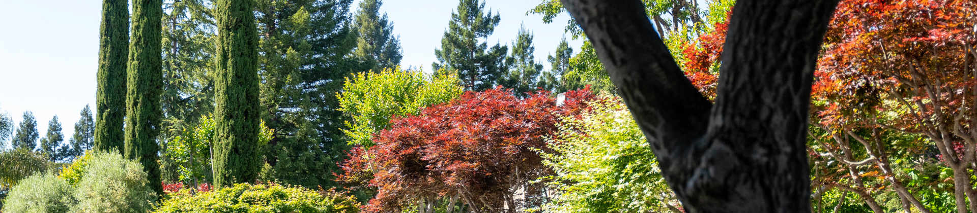 The Davey Tree Expert Company