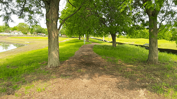 Ec Project Profile Homer Glen Sideimage 608X341