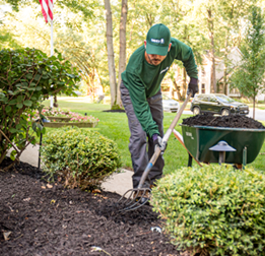 Mulching