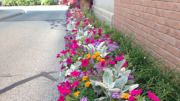 Commercial Blog How To Improve Your Business Curb Appeal With Landscape Enhancements Sideimage10 608X341