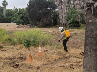 Davey Resource Group SDG&E conducting hands-on session on Davey's Wildfire Safety Management Plan.