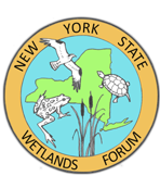 NYSWF