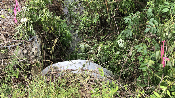 Utility Css Northeast Us Utility Baltimore Gas Electric Sideimage4 608X341