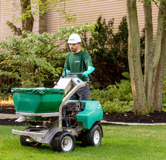 Lawn Overseeding