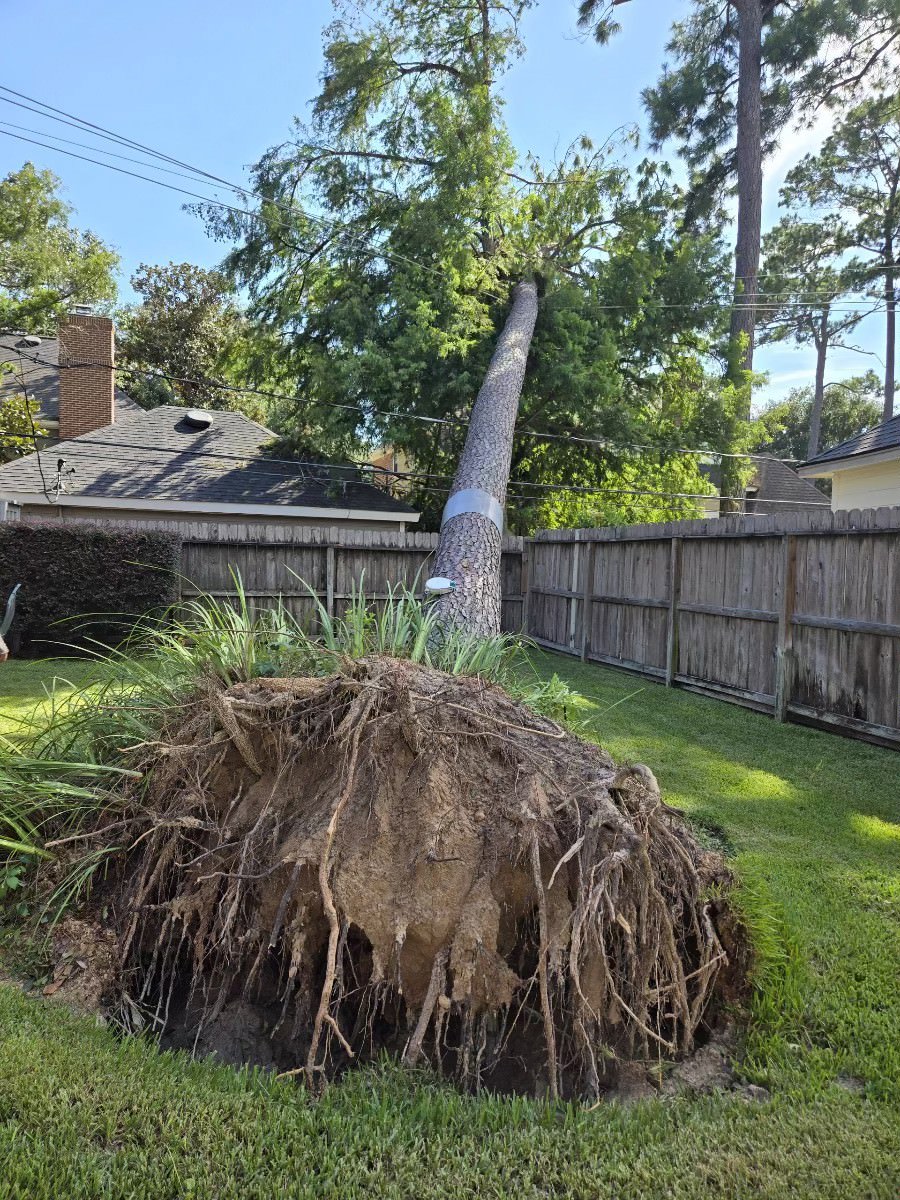 Resized Resized 20240709 165149 1720561917183 1720561920726