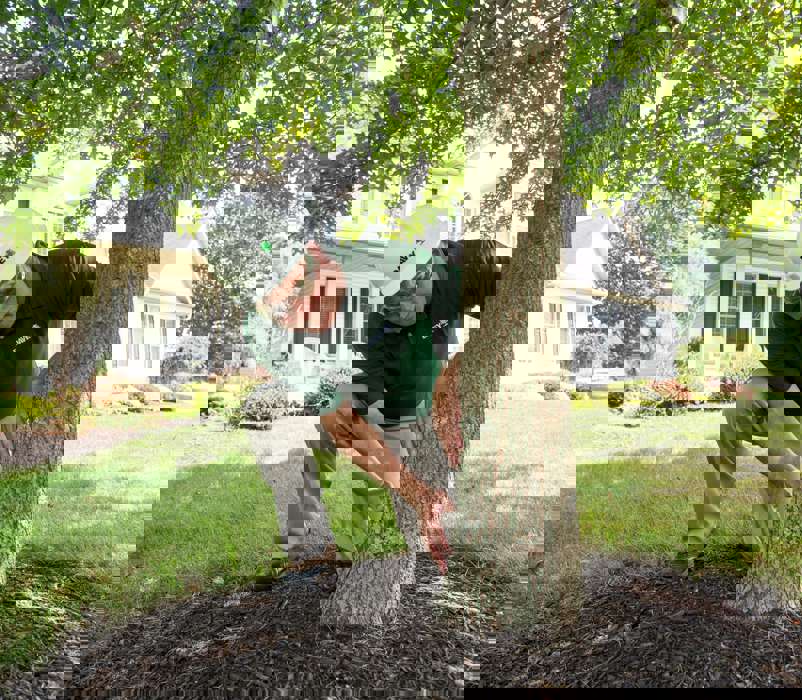 Residential Tree Care